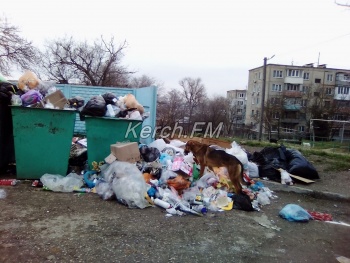 Керчане снова жалуются на свалку в жилом районе
