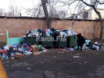 Новости » Общество: В Аршинцево пятый день не вывозят мусор, контейнеры переполнены