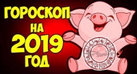 Блог редакции: Не хотите узнать, что приготовили керчанам звезды?