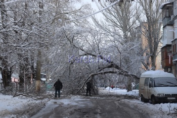 В Керчи   улица Толстого оказалась заблокированной и обесточенной  упавшим  на провода деревом