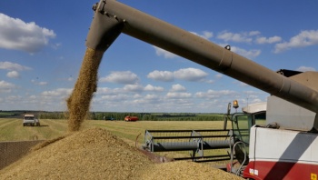 В этом году Севастополь поставит в Сирию 200 тыс тонн зерна