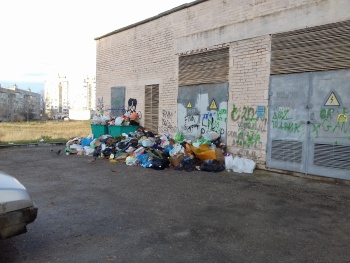 Мусорные пытки в Керчи продолжаются: свалки не убирают на Буденного и Блюхера