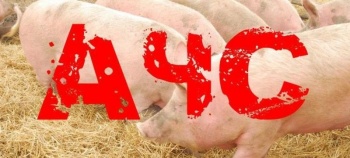 Новости » Общество: Керчанам рассказали, как не допустить возникновения африканской чумы свиней