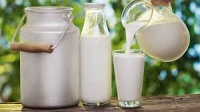 Новости » Экономика: Крым возглавил рейтинг субъектов России по росту производства молока