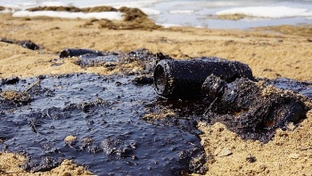 Крым вошел в список регионов с самой загрязненной почвой