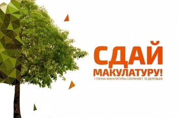 Новости » Общество: Керчан зовут поучаствовать в экомарафоне «Сдай макулатуру- спаси дерево»