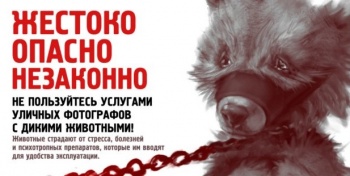 Крымские власти подключат социальную рекламу к борьбе с эксплуатацией экзотических животных