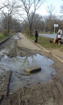 Новости » Общество: В Молодёжном парке несколько недель течет чистая вода у детской площадки