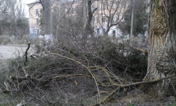 Керчане просят привести в порядок территорию больничного городка в Аршинцево