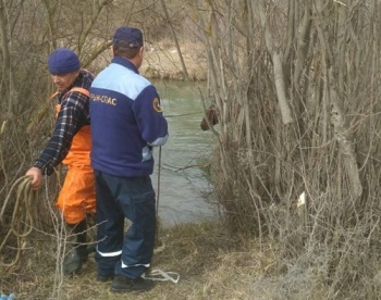 В Крыму сотрудники МЧС спасли упавшую в реку лошадь