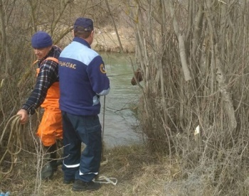 Новости » Общество: В Крыму сотрудники МЧС спасли упавшую в реку лошадь