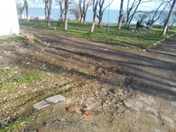 Оперативненько: на пляже в Аршинцево убрали мусор