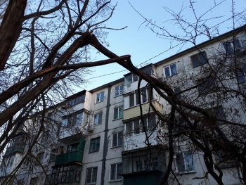 У дома по Кирова ветка висит над проводами и тропинкой