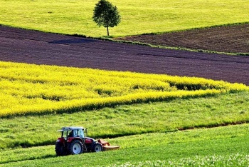 Крым рассчитывает получить на сельское хозяйство 2,7 млрд руб