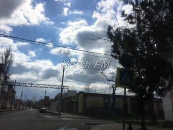 Новости » Общество: На Айвазовского в Керчи дорожные знаки спрятались за деревьями