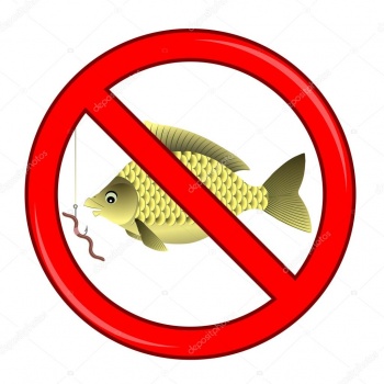 Новости » Общество: С 1 апреля в Крыму вводится нерестовый запрет на лов рыбы
