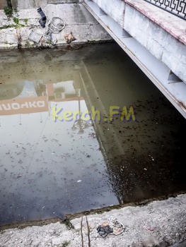 Новости » Экология: Речка в центре Керчи: что может быть грязнее?