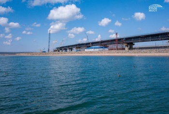 Экологи установили гнездовья для птиц рядом с Крымским мостом