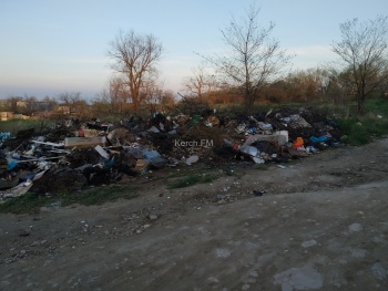 Очередная свалка мусора появилась в районе «Телецентра»