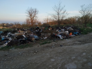 Новости » Общество: Очередная свалка мусора появилась в районе «Телецентра»