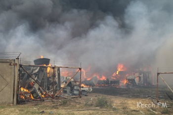 Новости » Общество: С начала года на пожарах в Крыму погибли 40 человек