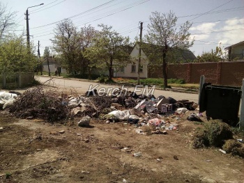 Рядом с мусорными контейнерами на Ульяновых никто не убирает свалку