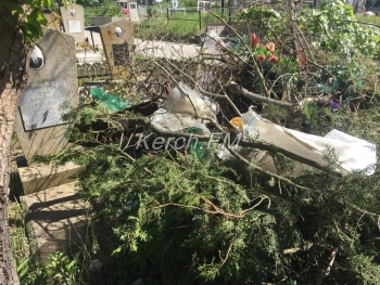 Свалка уже на могилах – кладбище в Аршинцево завалено мусором