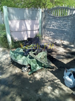 Новости » Криминал и ЧП: На Клабукова в Керчи утром сожгли новый мусорный контейнер