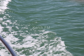 В Керченском проливе морская вода прогрелась до +22 градусов