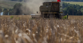 Аграрии Крыма начали уборочную кампанию