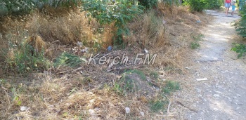 Дорога к детской поликлинике в Аршинцево завалена травой и мусором