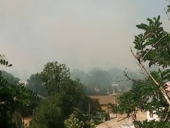 Центр Керчи окутал дым: горит сухостой в районе Митридата