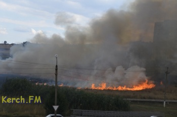 Экстренное предупреждение о чрезвычайной пожарной опасности объявили в Крыму на 3-6 июля