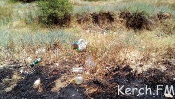 Ты репортер: Сгоревшая трава, бутылки и мусор – вид на море в Аршинцево