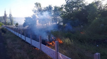 В Ленинском районе на территории заброшенного дачного кооператива горела сухая трава