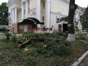 Спил деревьев производится в рамках реконструкции сквера, - администрация кинотеатра «Украина»