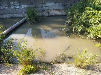 Керчане считают чудовищным загрязнение речки Мелек-Чесме