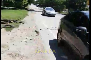 Новости » Криминал и ЧП: В Керчи сухое дерево упало на машину с туристами