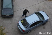 Новости » Права человека » Общество: Керчанам в ближайшее время будут грозить штрафами за неправильную парковку во дворах