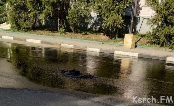 Керчанин предлагает посадить администрацию города вокруг канализационного колодца на Самойленко