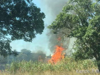 В Керчи горит сухостой напротив 12 школы