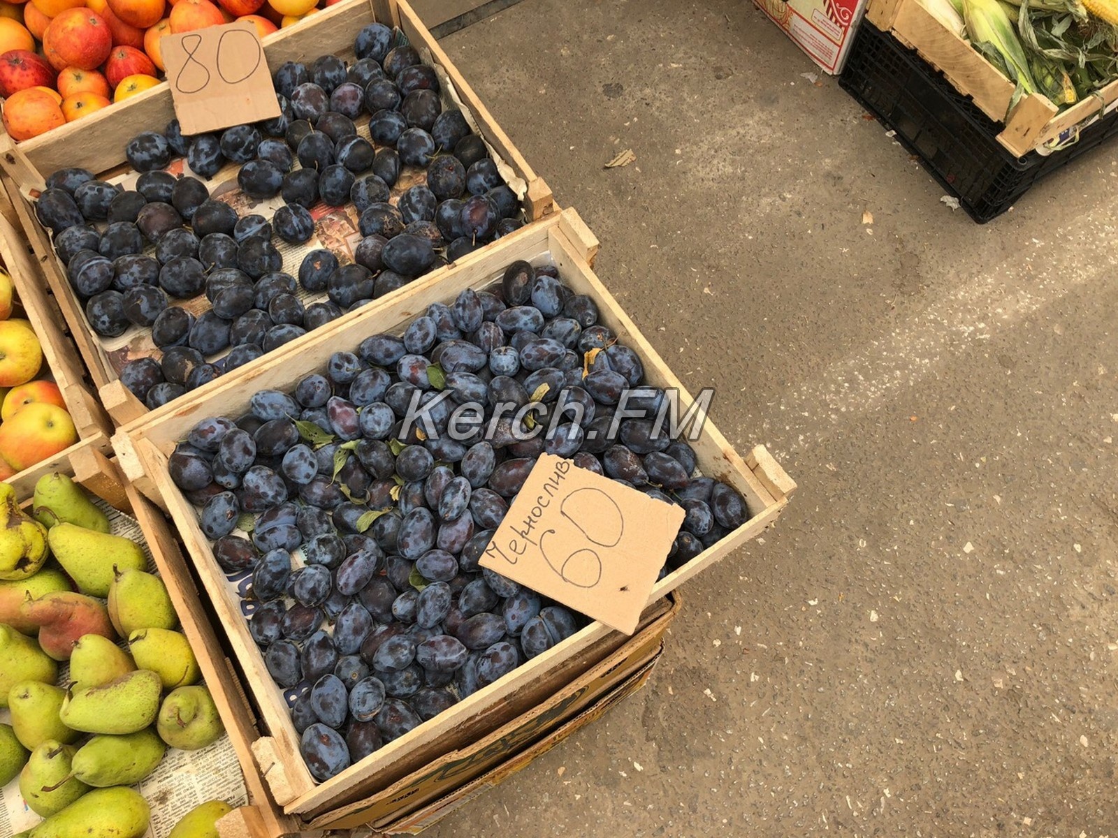 Овощные базы запорожской области