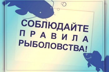 Новости » Общество: В Черном море разрешили ловить креветок, мидий и кефаль