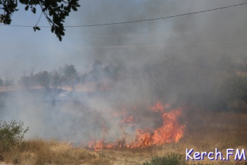 Вчера в Багерово выгорело около гектара сухой травы