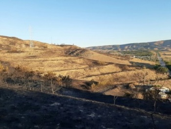 Лесной пожар в Феодосийском лесничестве тушили почти сутки