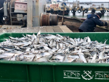 В Крыму выписали  штрафов почти на 7 млн руб за незаконный лов рыбы