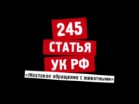 Мрази: в Керчи хладнокровно убили собаку шурупом (только 18+)