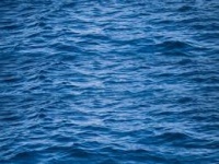 Прогулочный катер с людьми затонул в районе Судака