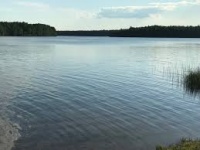 Новости » Общество: В Крыму в озере нашли труп мужчины
