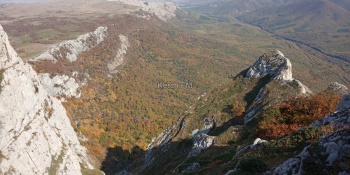 Осенний лес в Крымских горах (фото, видео)